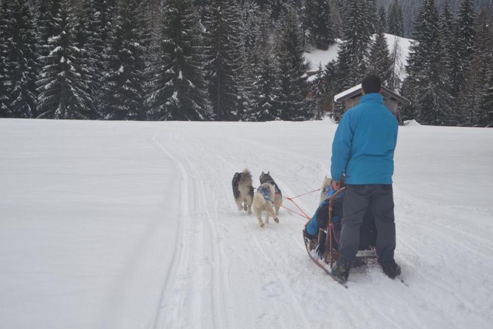 مبيت وإفطار Eirl Dolomites Retreat سابادا المظهر الخارجي الصورة