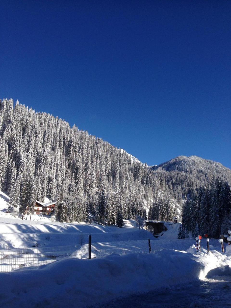 مبيت وإفطار Eirl Dolomites Retreat سابادا المظهر الخارجي الصورة